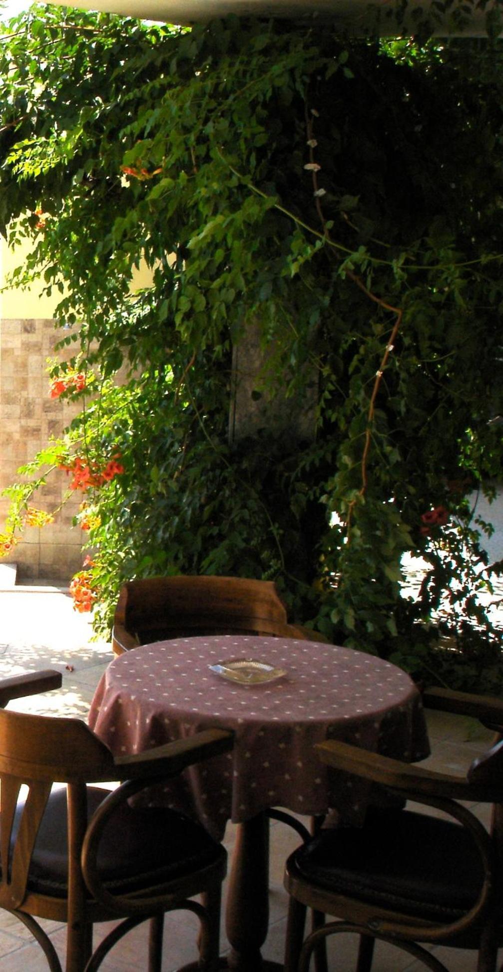 Hotel Afea Agia Marina  外观 照片